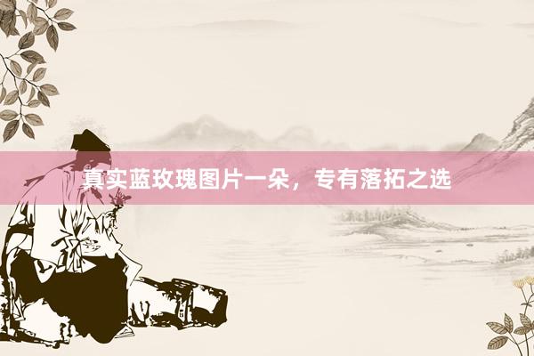 真实蓝玫瑰图片一朵，专有落拓之选