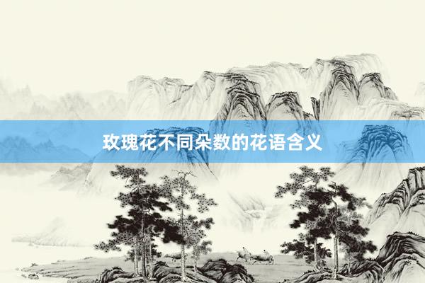 玫瑰花不同朵数的花语含义