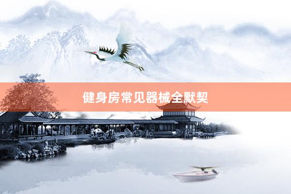 健身房常见器械全默契